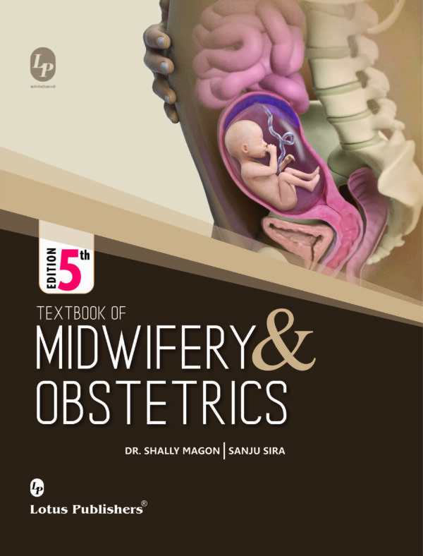 literature review and midwifery